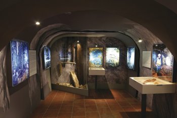 Stálá expozice Kutnohorského podzemí – Tylův dům
