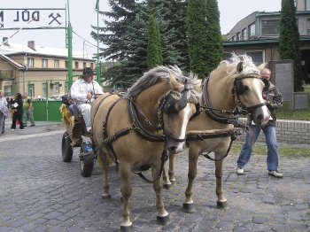 Den horníků s koňským povozem (foto: Jan Uváček)